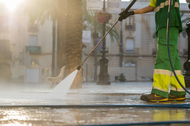Best Affordable Power Washing  in Hinckley, IL