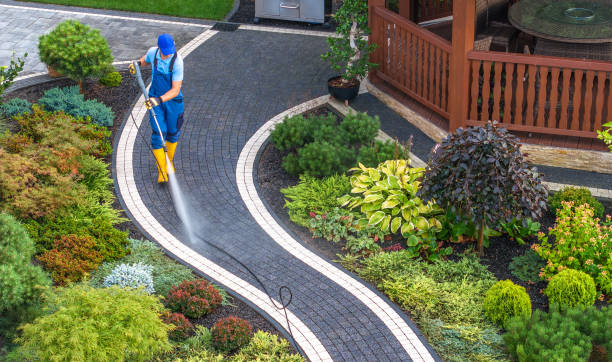 Best House Pressure Washing  in Hinckley, IL