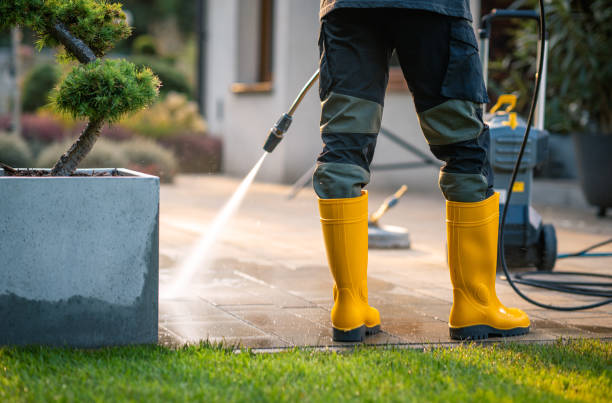 Best Deck Cleaning Services  in Hinckley, IL
